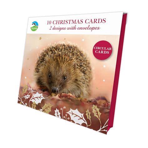 rspb christmas cards|Dazzling dozen Christmas cards, pack of 10 .